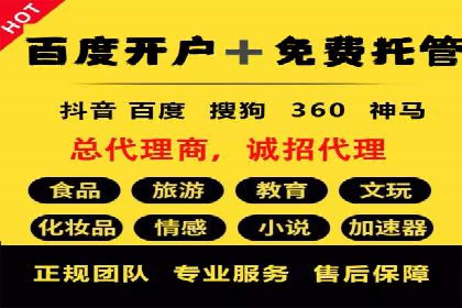 某企业SEM广告投放的ROI提升策略及效果展示